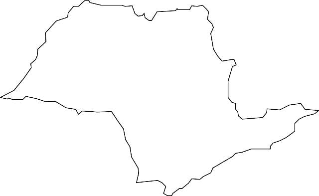 Map of São Paulo vector