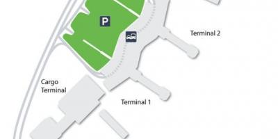 São Paulo Airport Guide